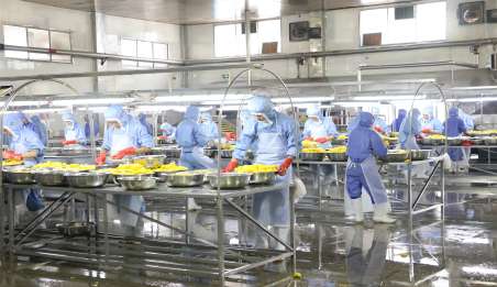 山东小型食品公司注册需要什么条件